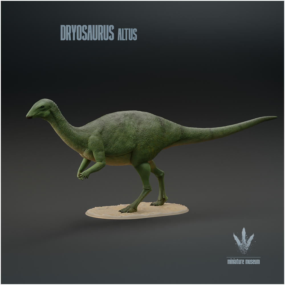Dryosaurus altus : The Tree Lizard