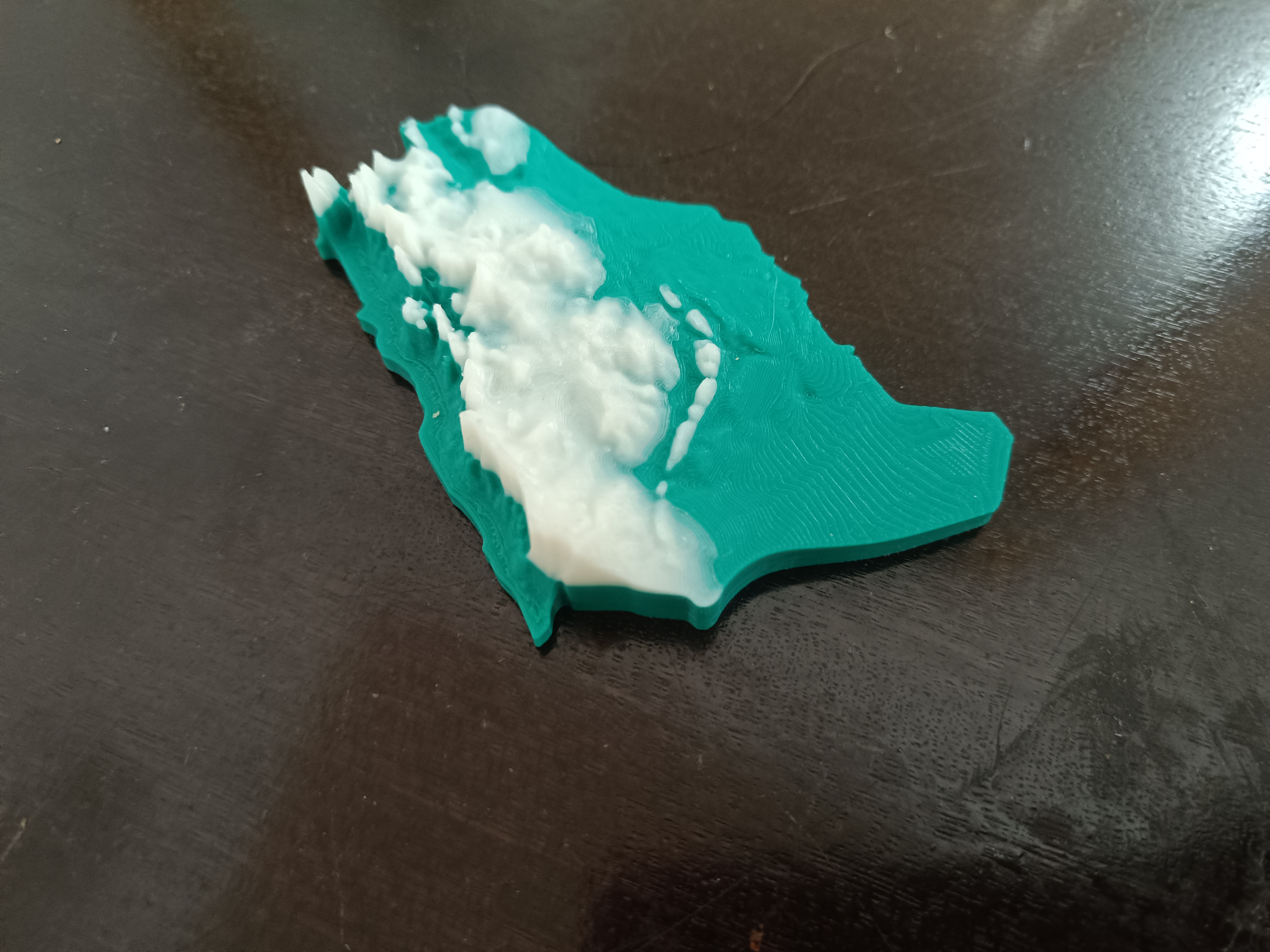 topographical map of Saudi Arabia