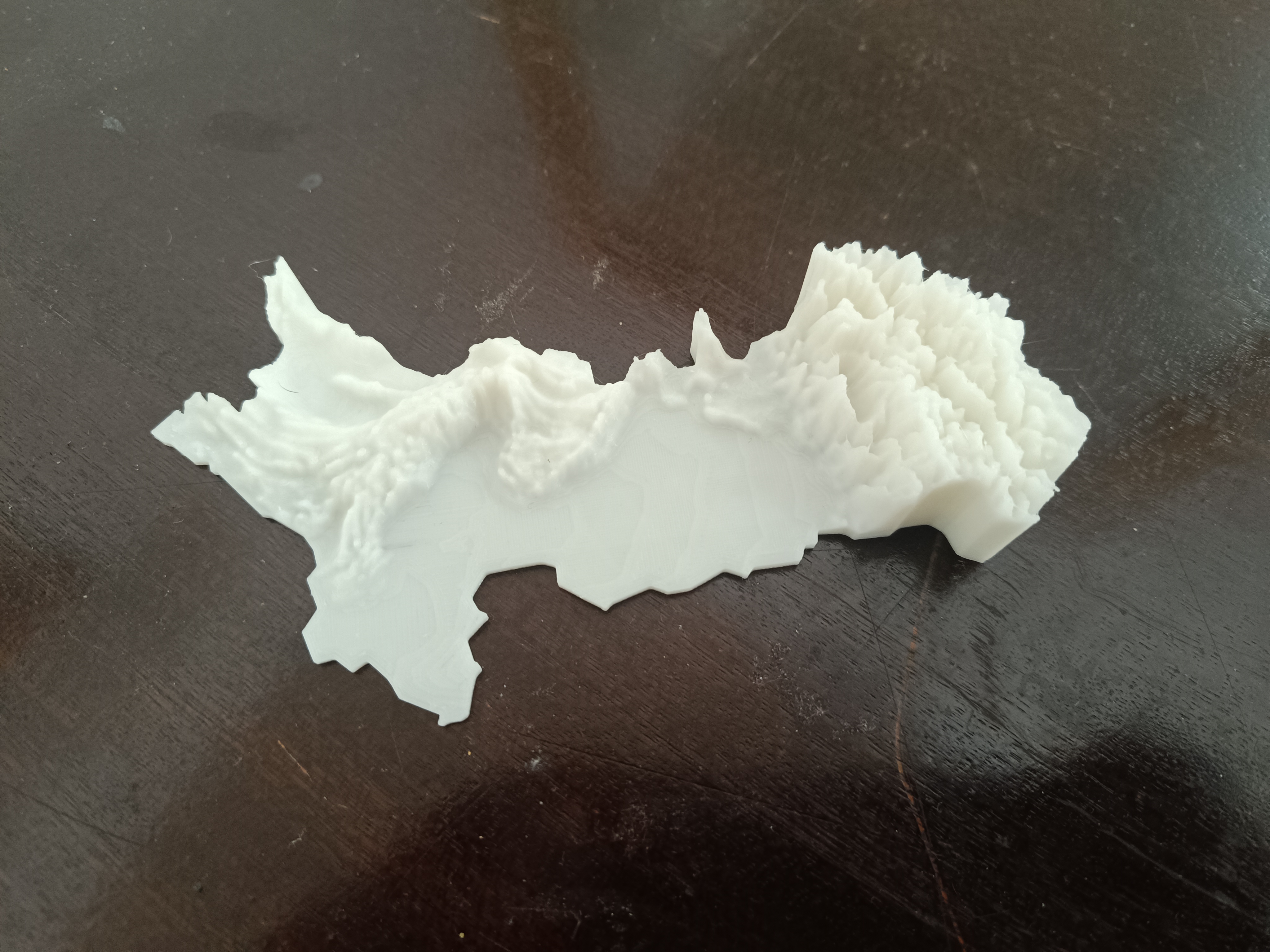 topographical map of Pakistan