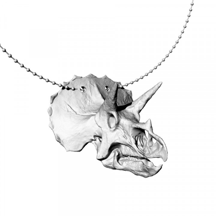 skull necklace STL