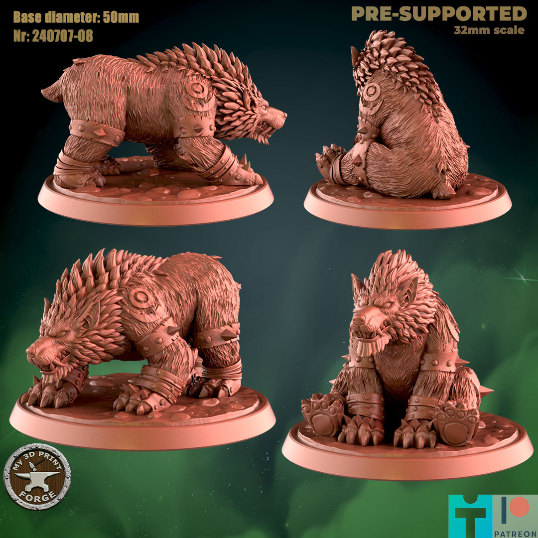 Druid Bear Form Worg Two Models