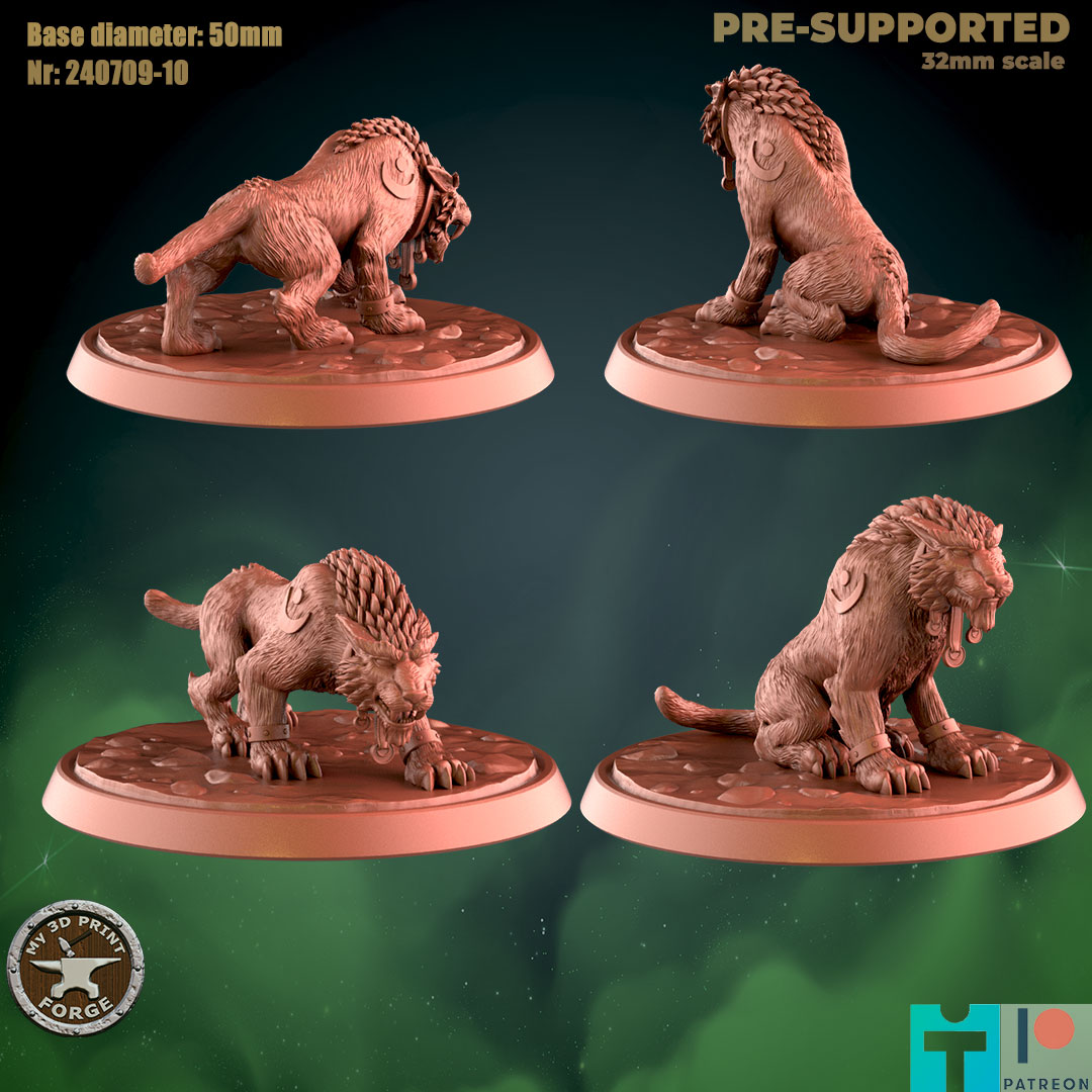 Druid Cat Form NE Two Models