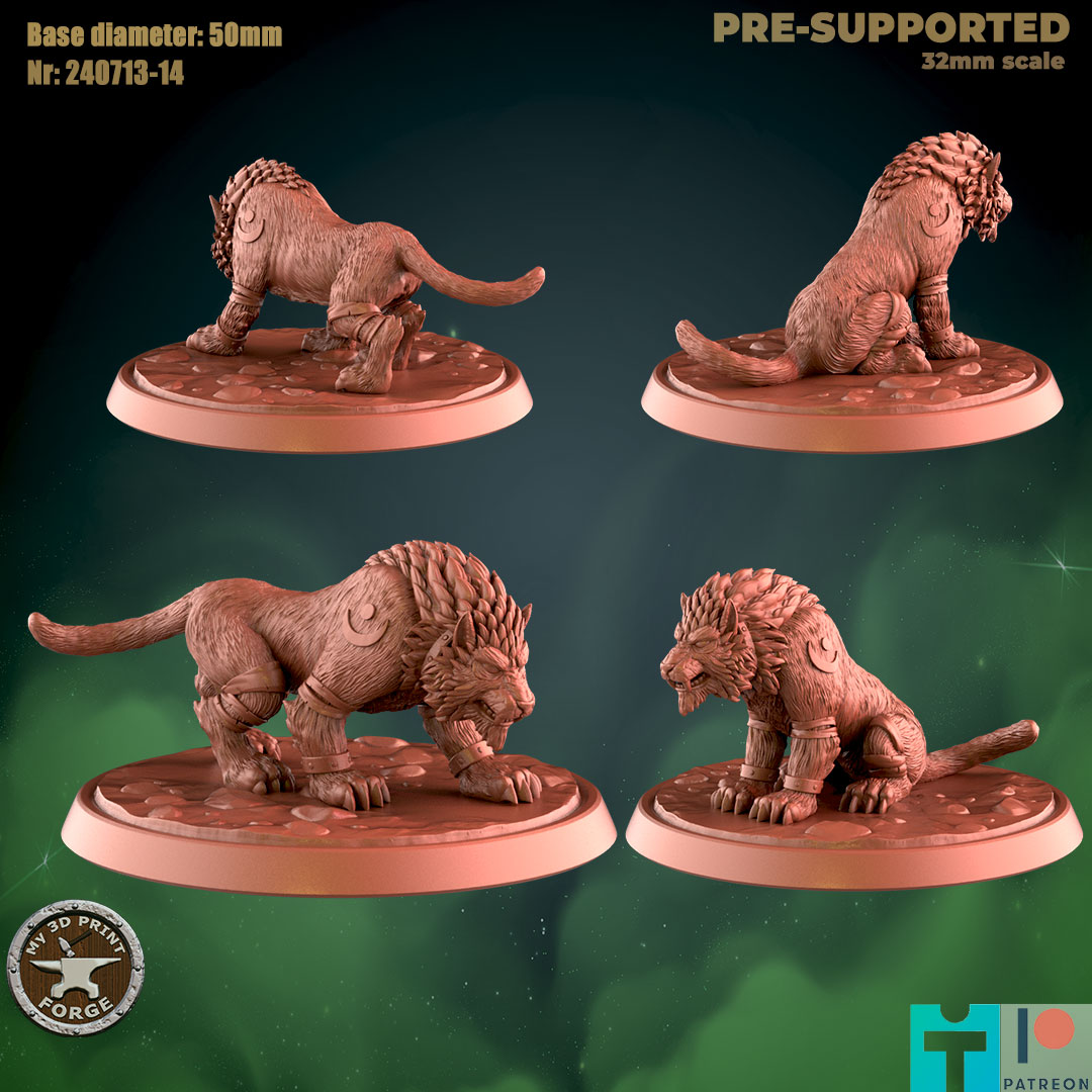Druid Cat Form Worg Two Models