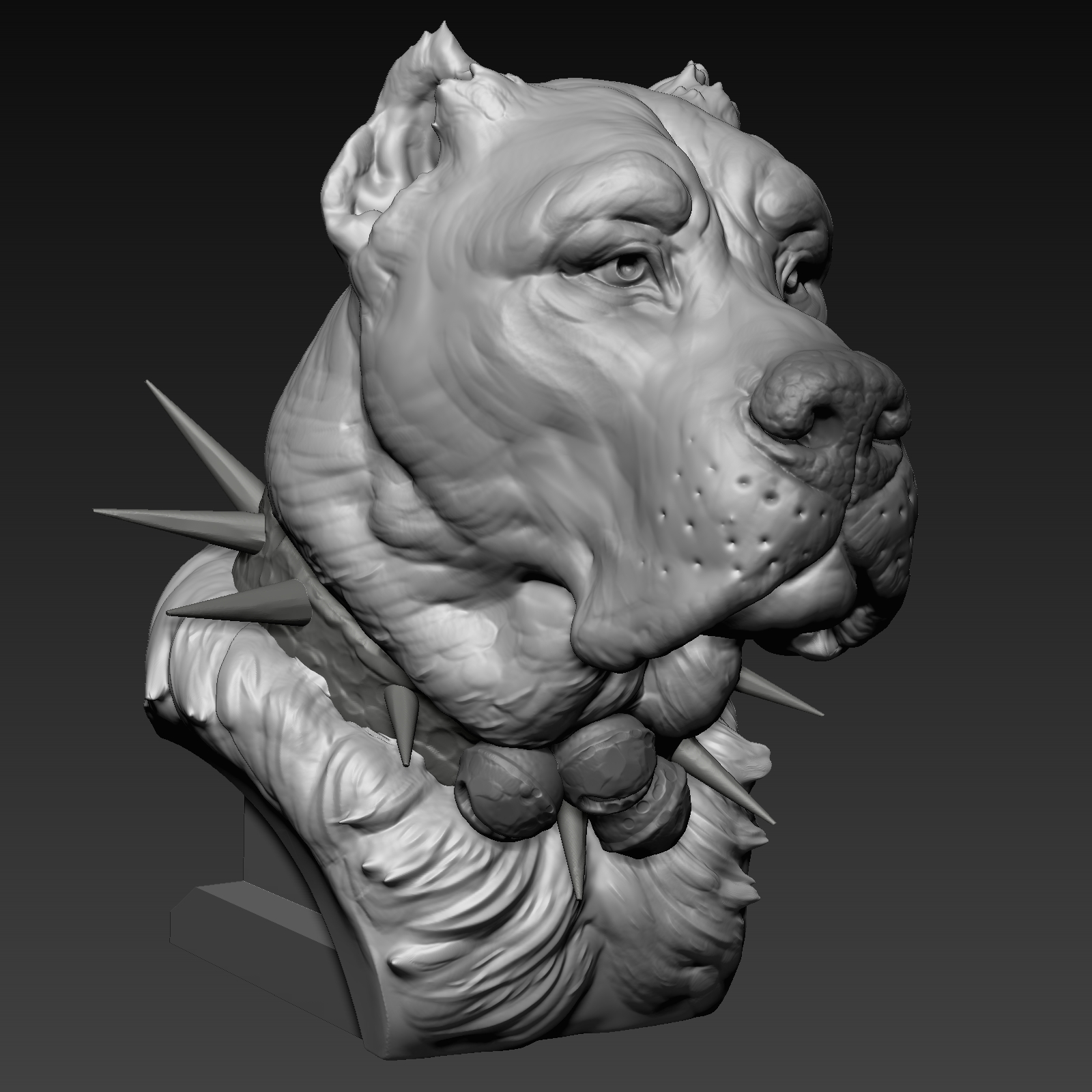 Kangal Bust