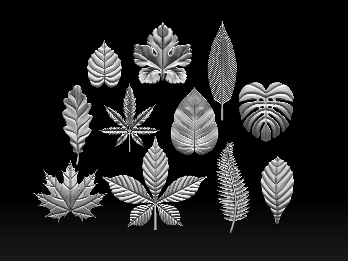 leaves