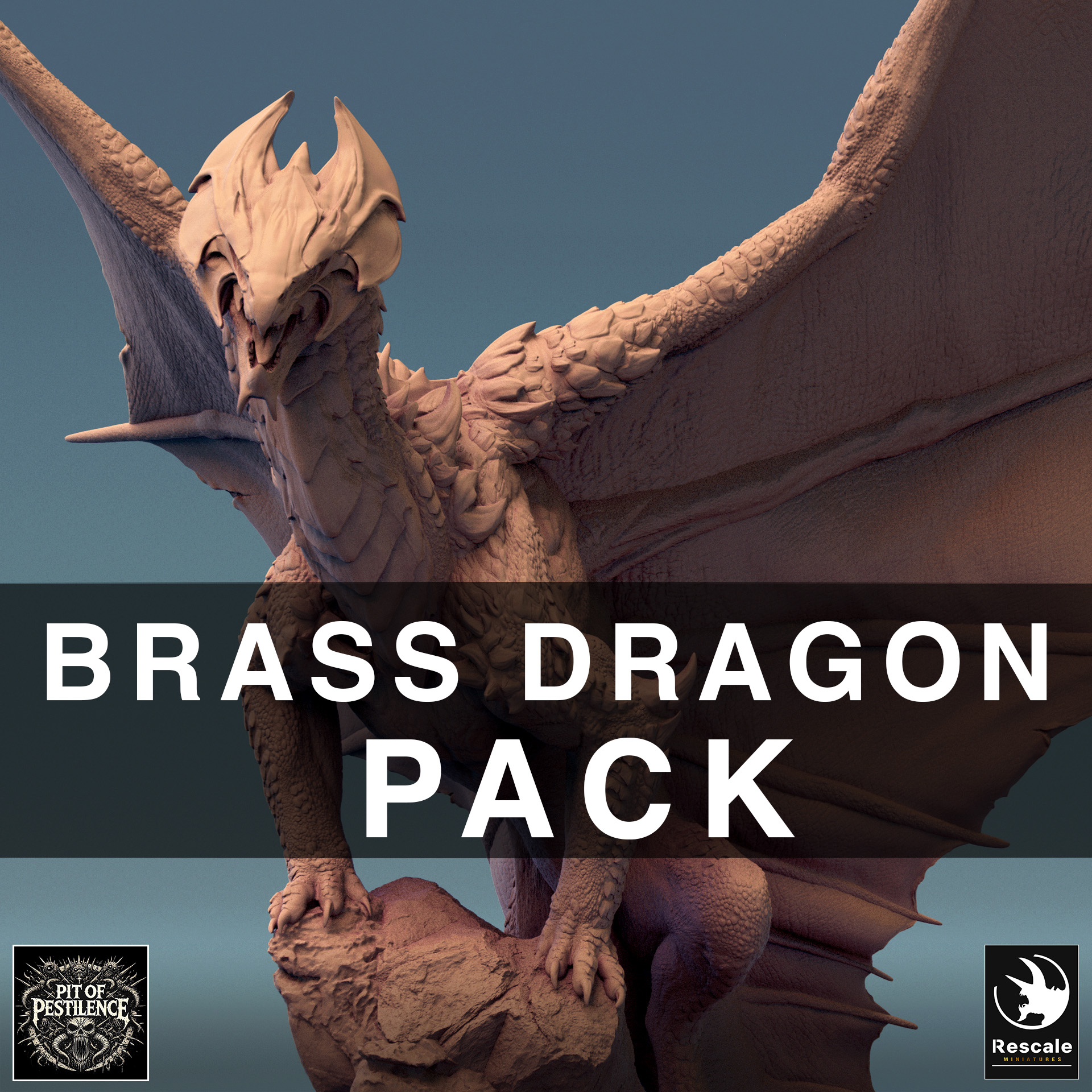 Pack Brass Dragon