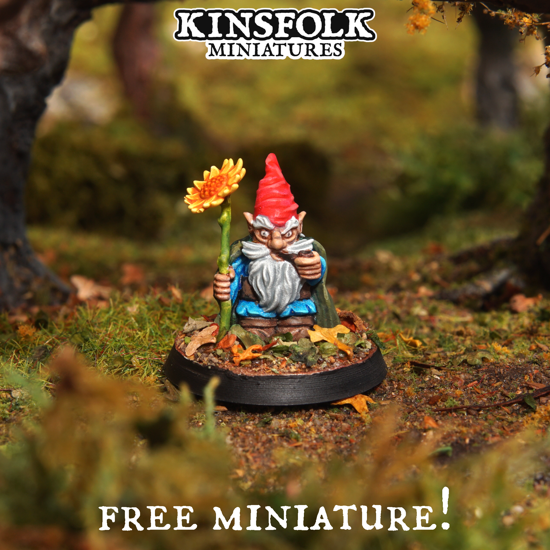 Gnome Sun Wizard