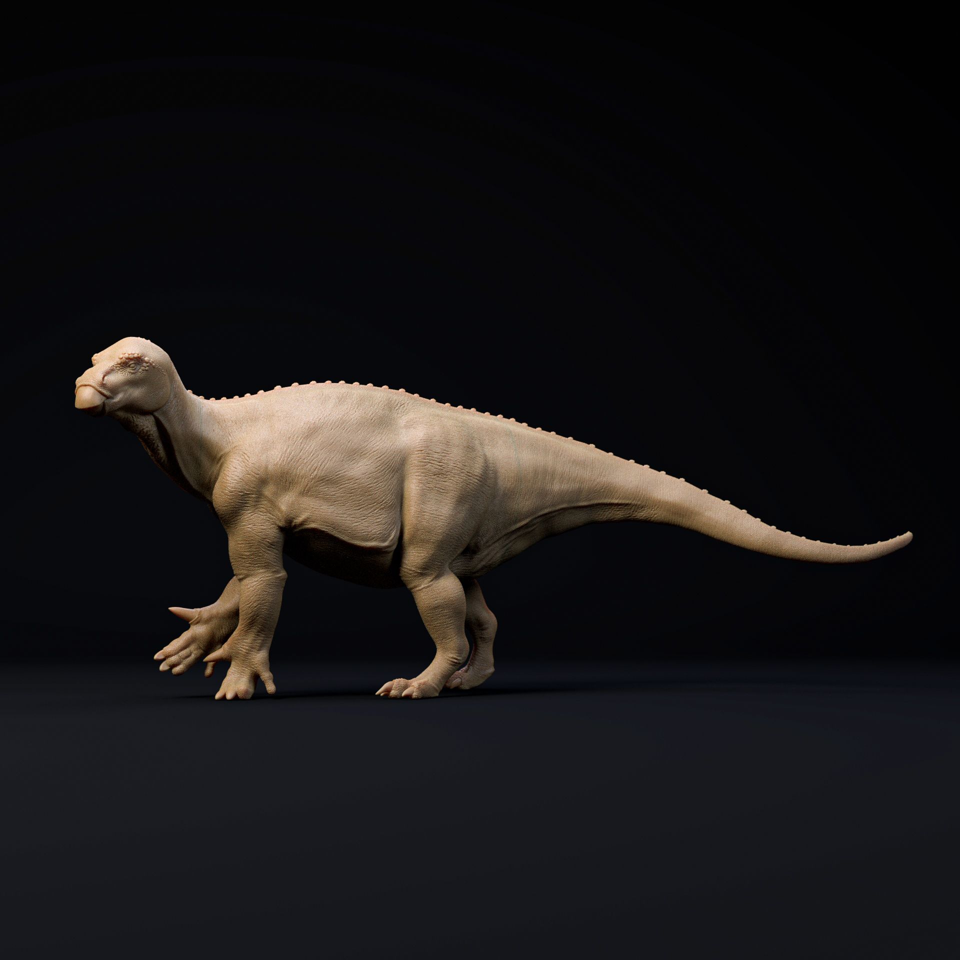 Iguanodon walking 1-35 scale pre-supported dinosaur