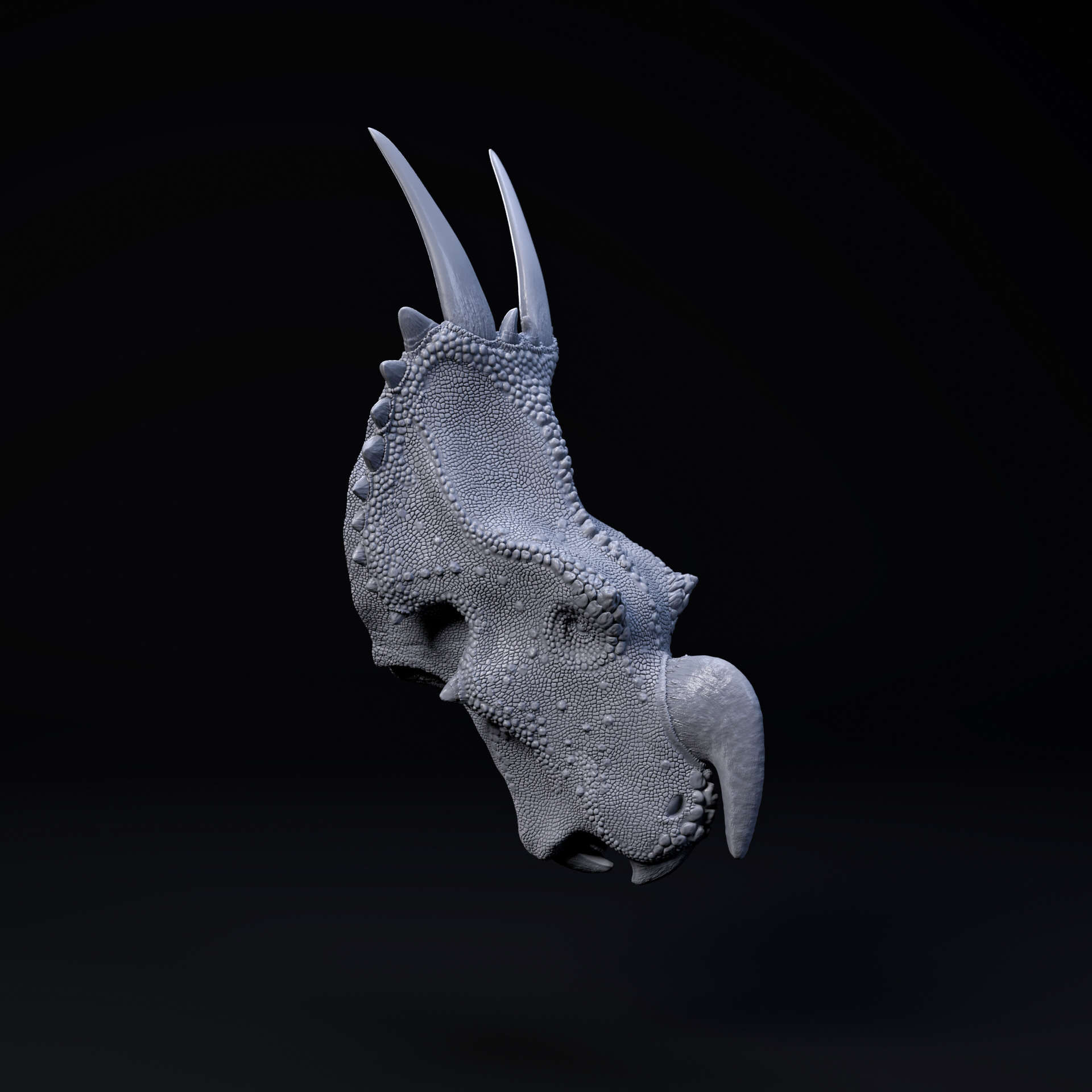 Einiosaurus mount-head