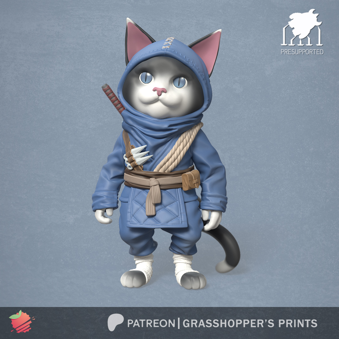 Ninja Cat with Katana