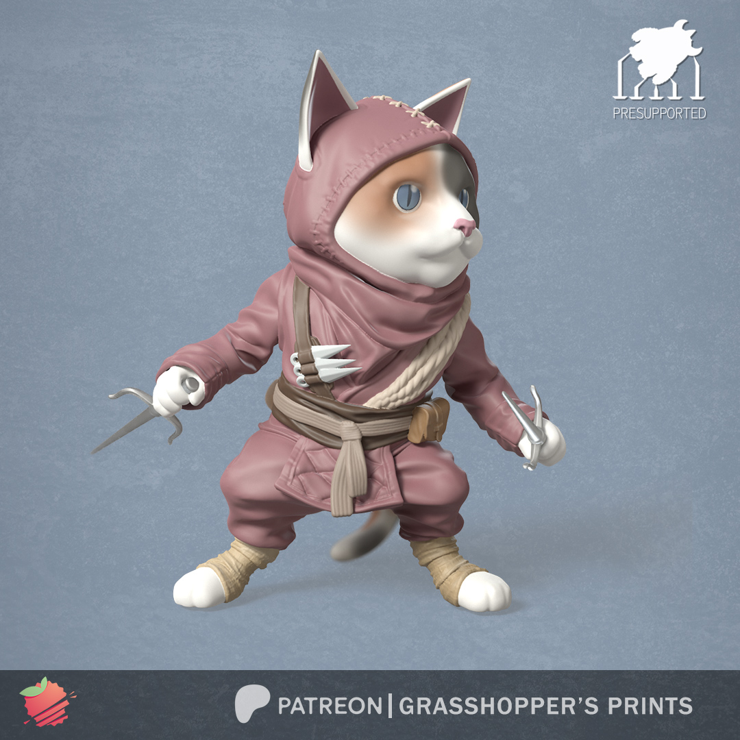 Ninja Cat with Sai