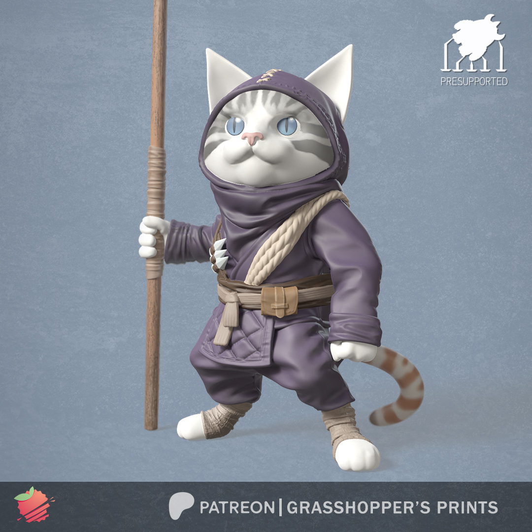 Ninja Cat with Staff