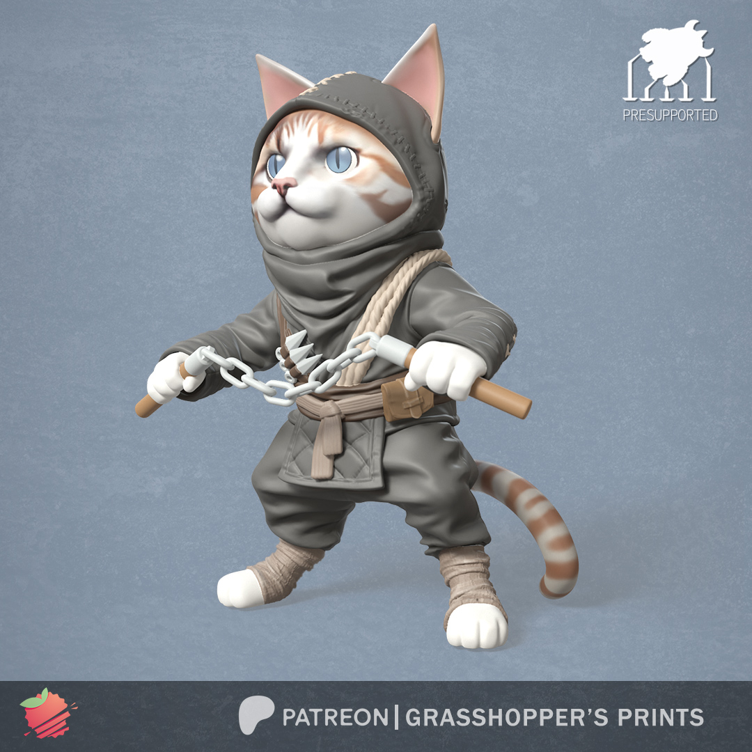 Ninja Cat with Nunchaku