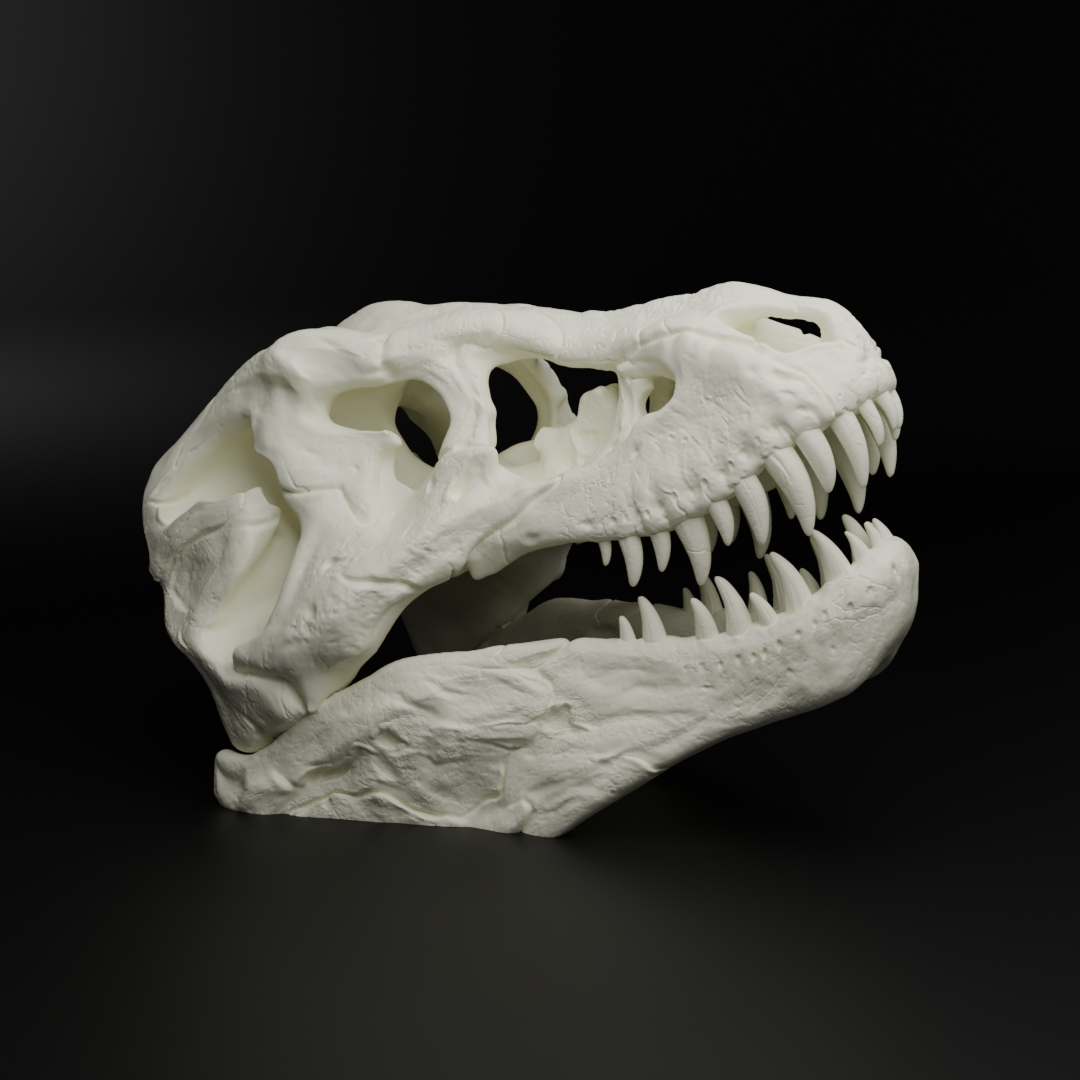 T-Rex Skull (MysticMesh3D)