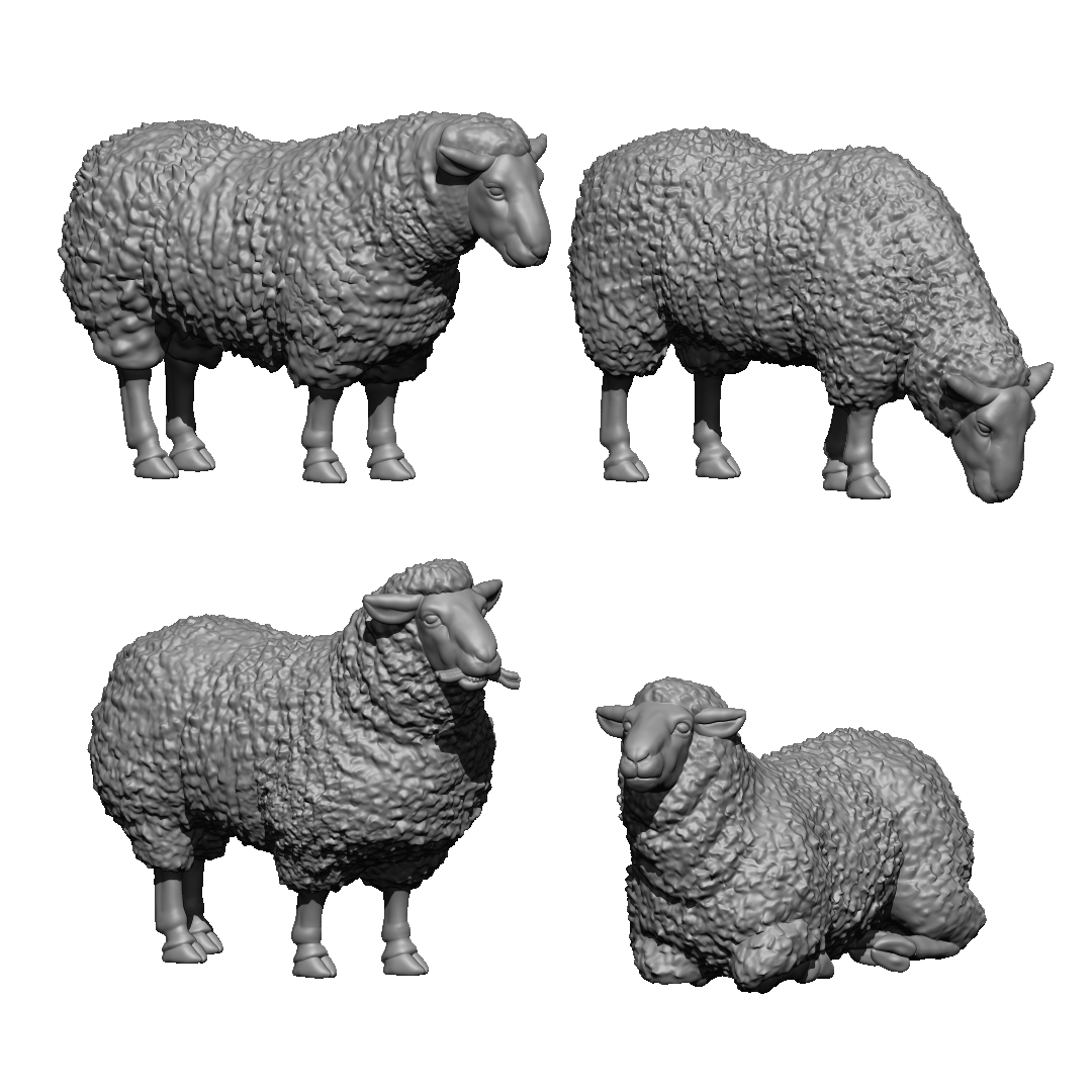 Sheep