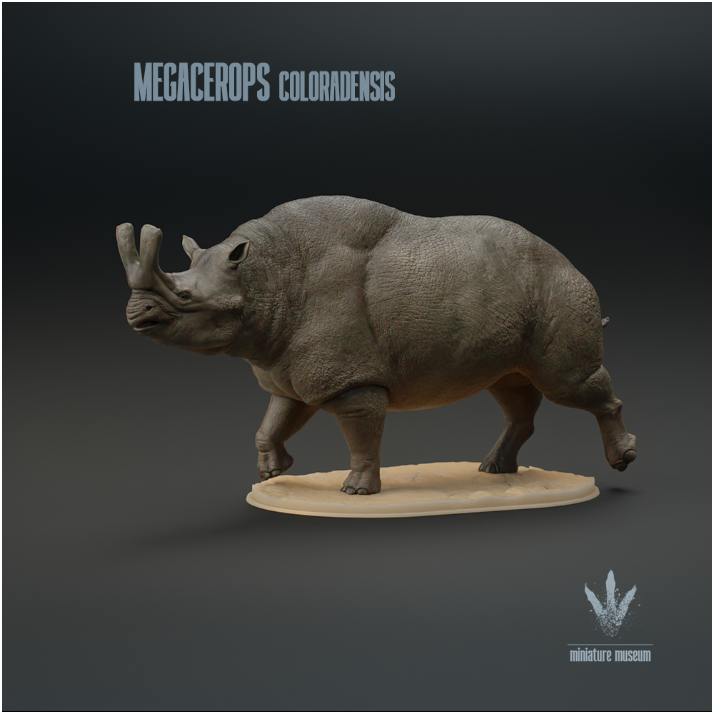 Megacerops coloradensis : Walking