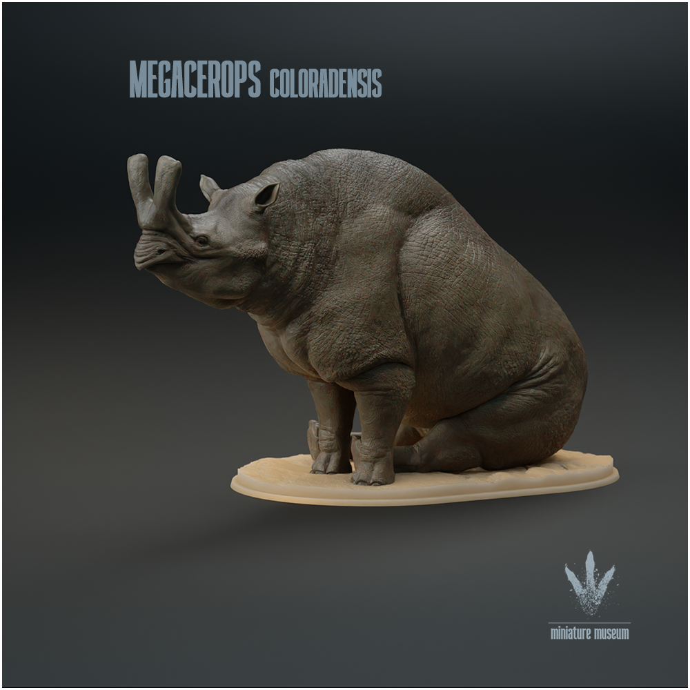 Megacerops coloradensis : Sitting