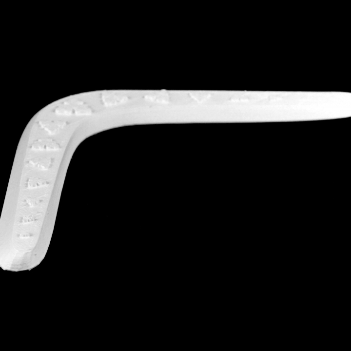 boomerang toy