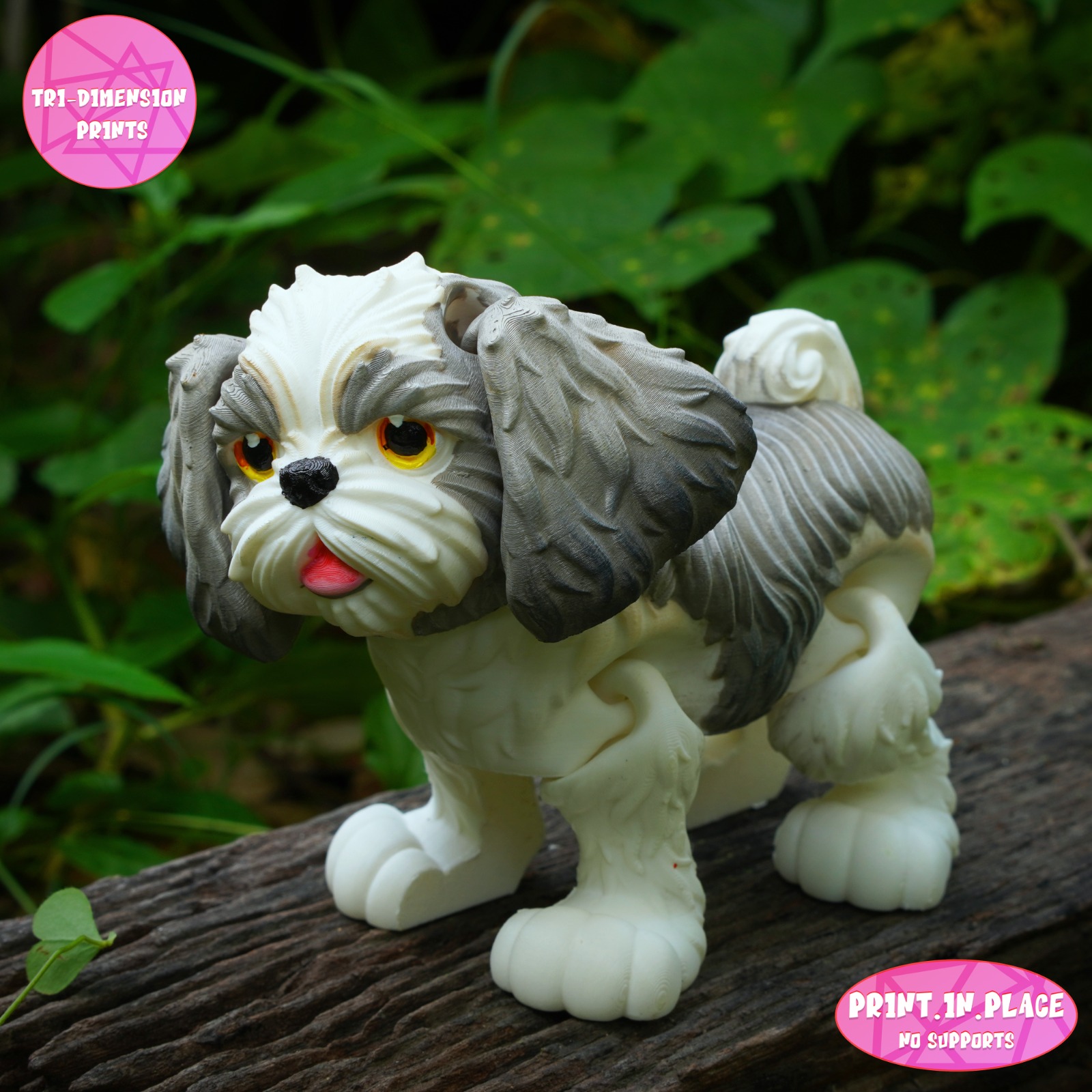 Flexi Shih tzu