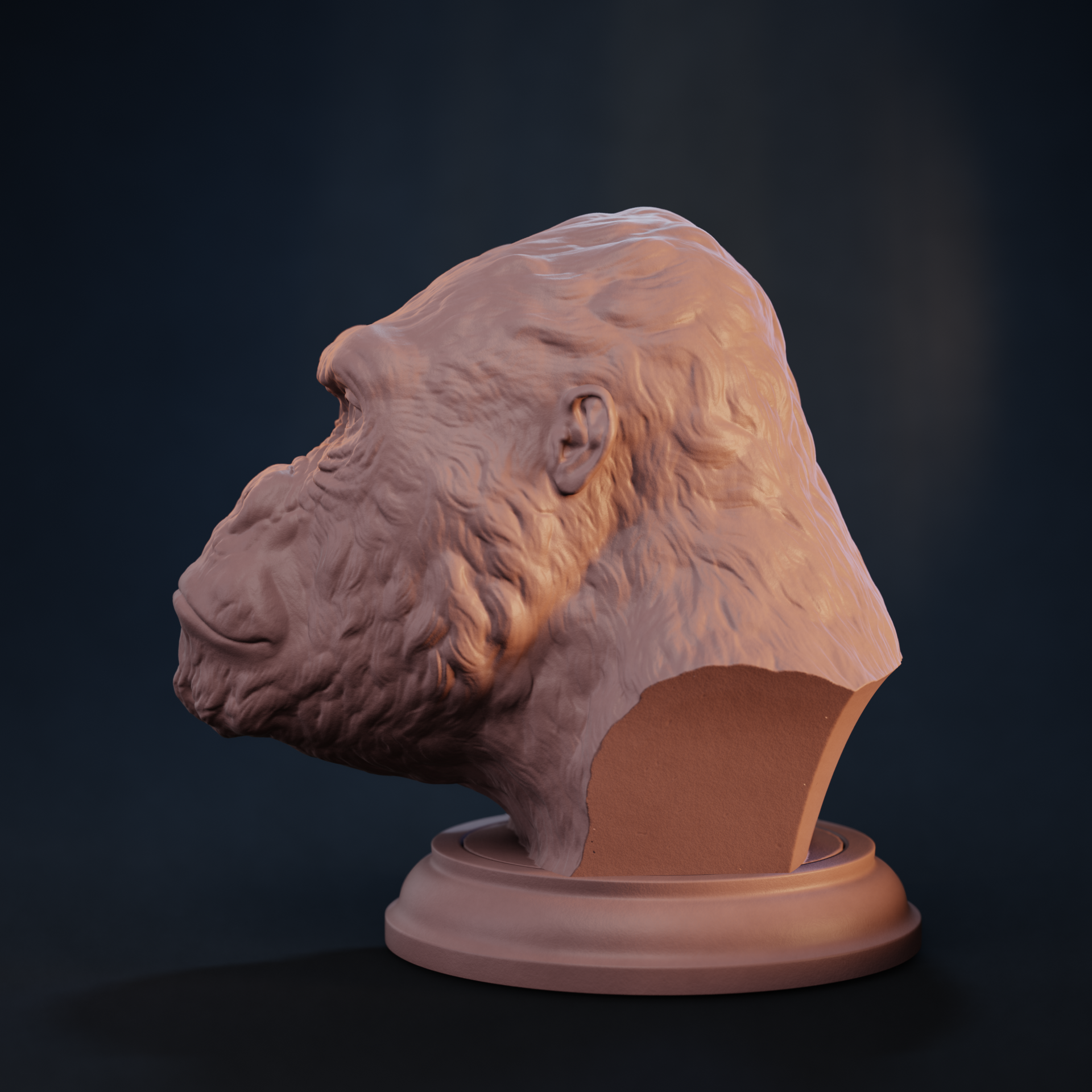 Gorilla Bust
