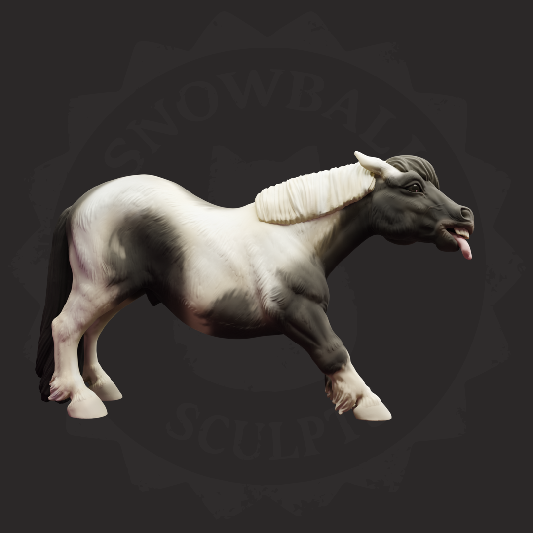Shetland Pony Stallion