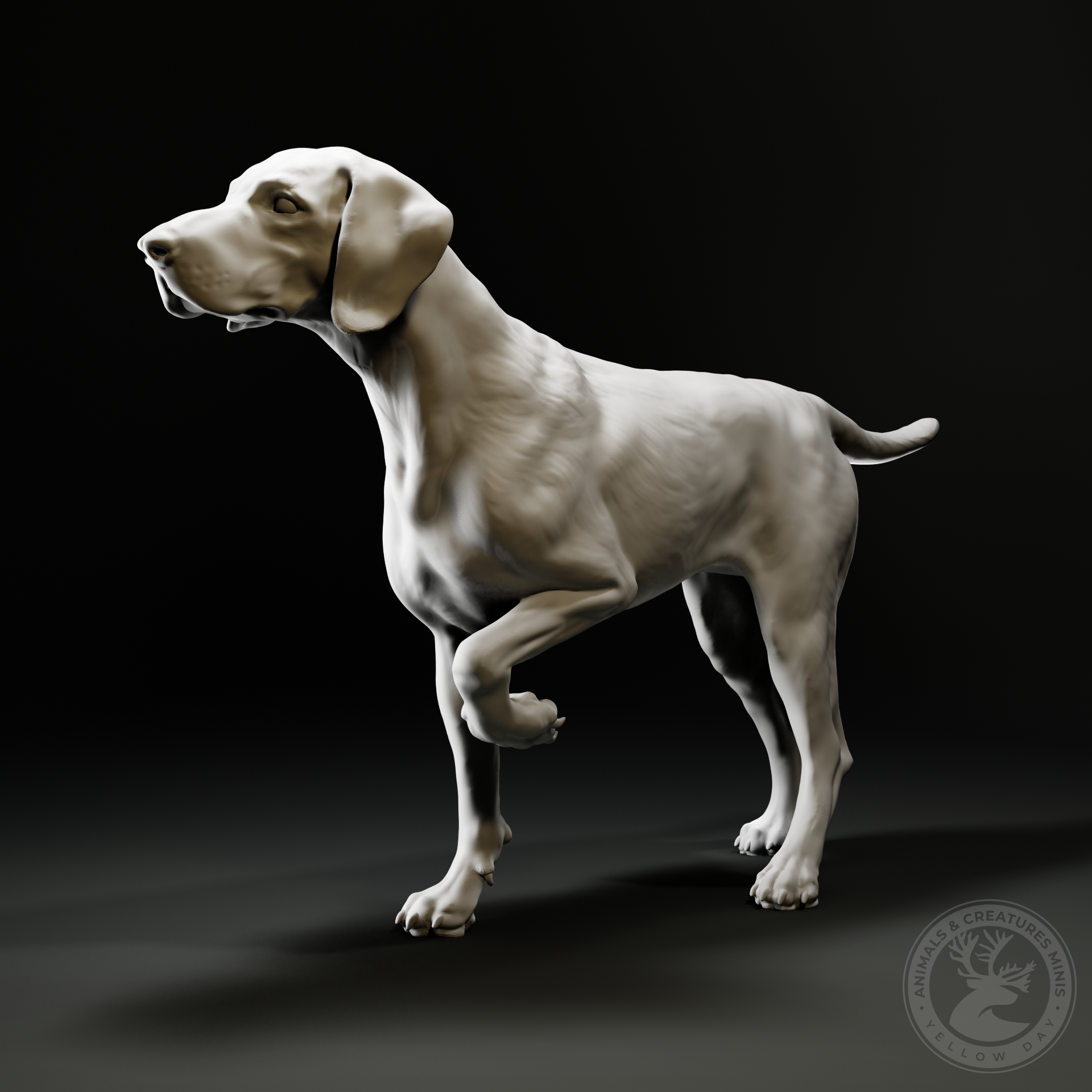 German Shorthaired Pointer