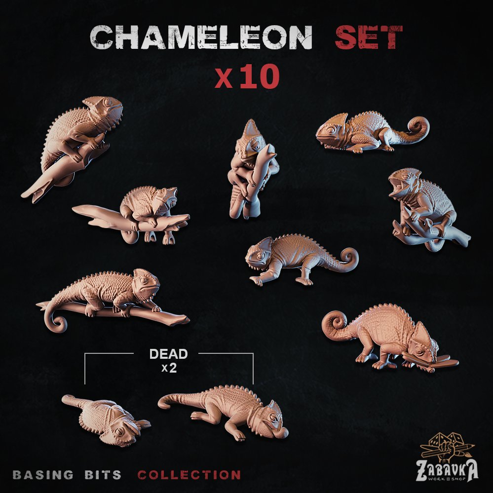 Chameleon - Basing Bits