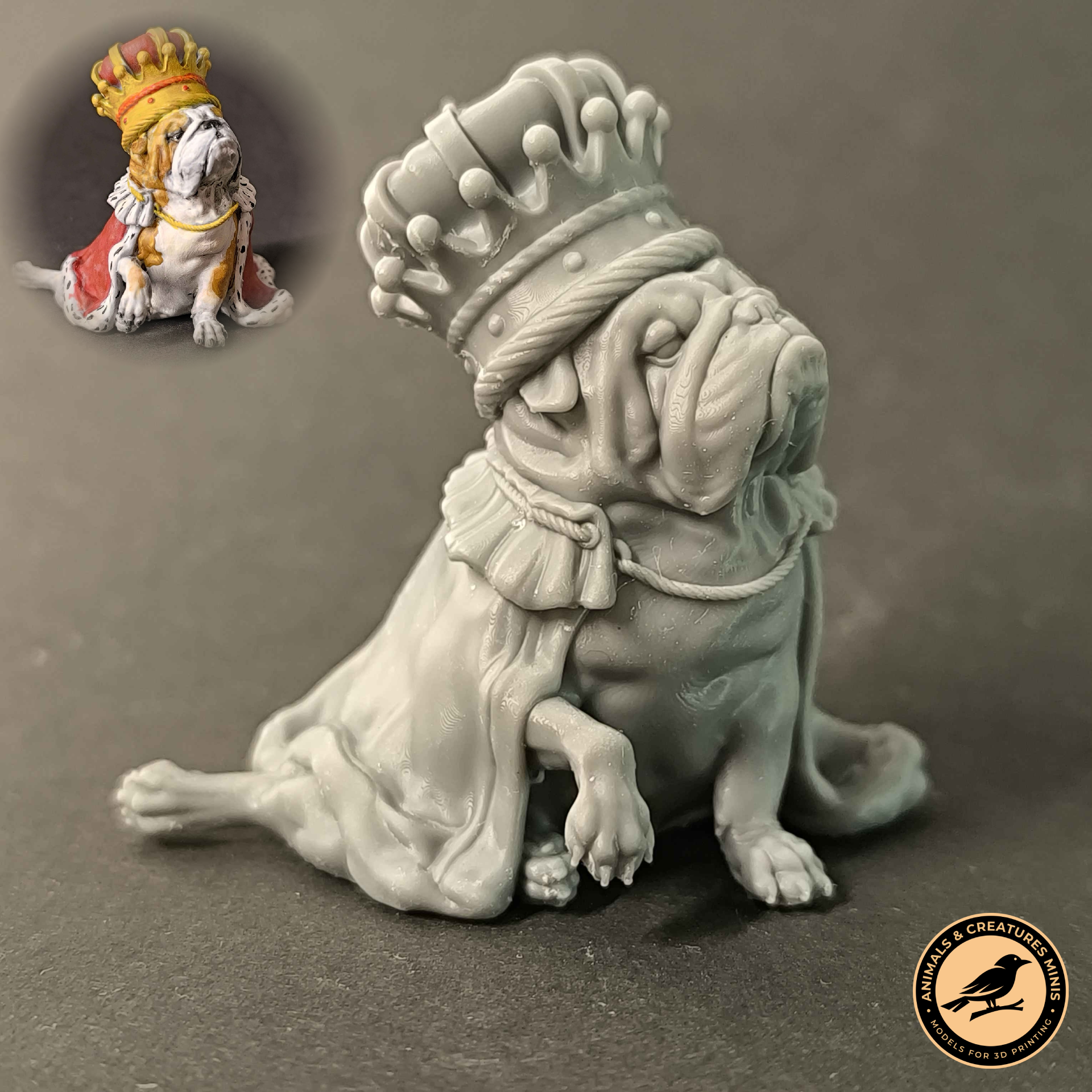 Royal english bulldog