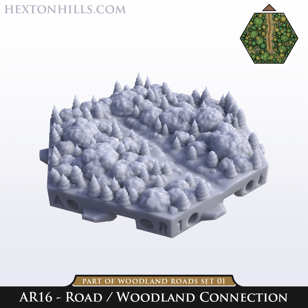 Road 16 : Road / Woodland Connection - AR16