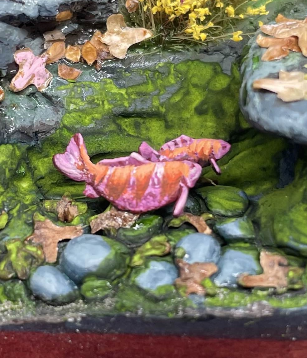 Koi Fish