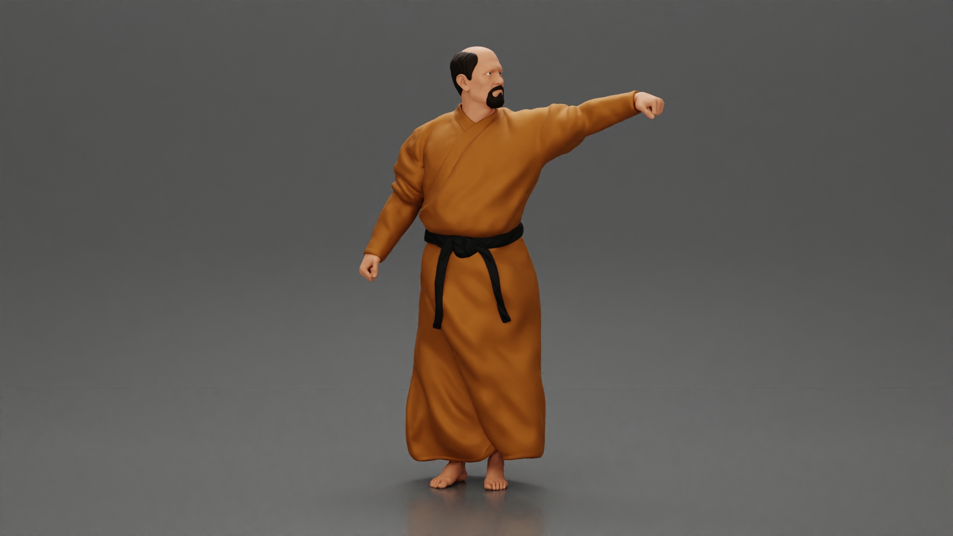 kung fu master performing kung fu moves