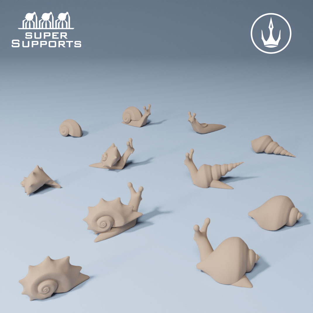Snails 1