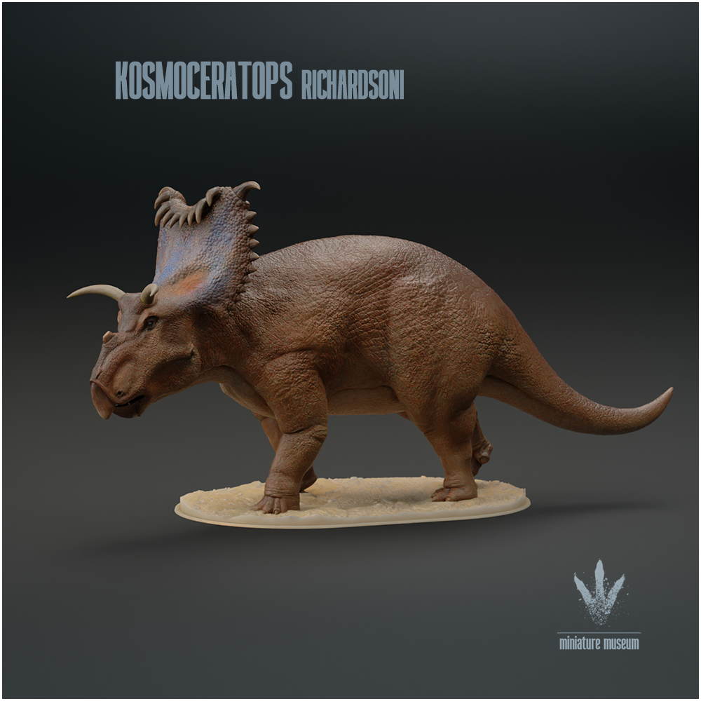 Kosmoceratops richardsoni : The Ornate-horned Face