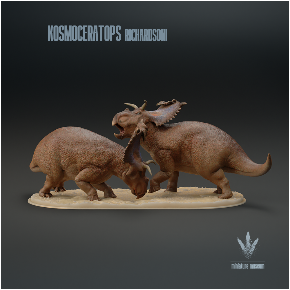 Kosmoceratops richardsoni : Fight