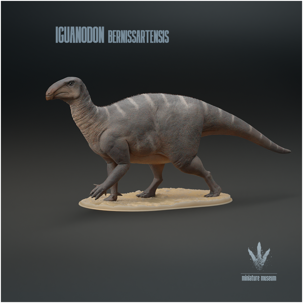 Iguanodon bernissartensis : The Iguana Tooth