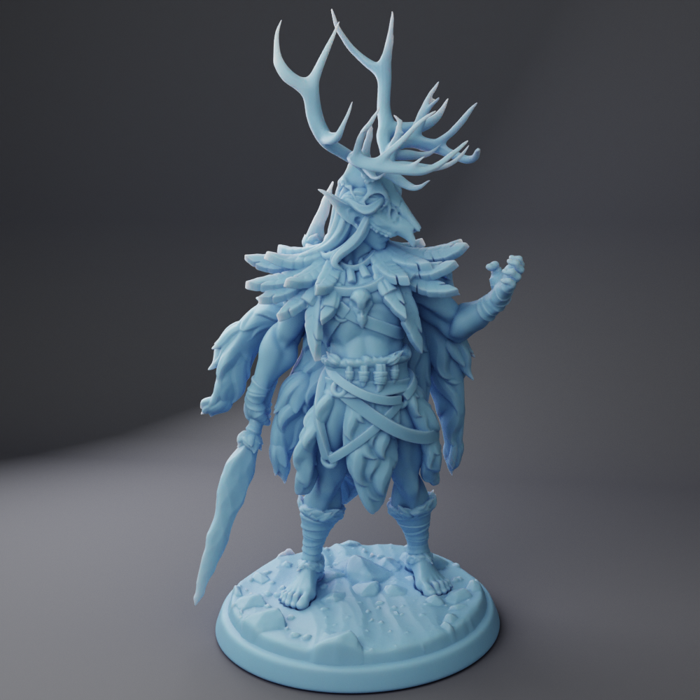 Fara-Isil, Ancient Elf Druid ( Male Elf Druid / Wood Elf Ranger with Spear )
