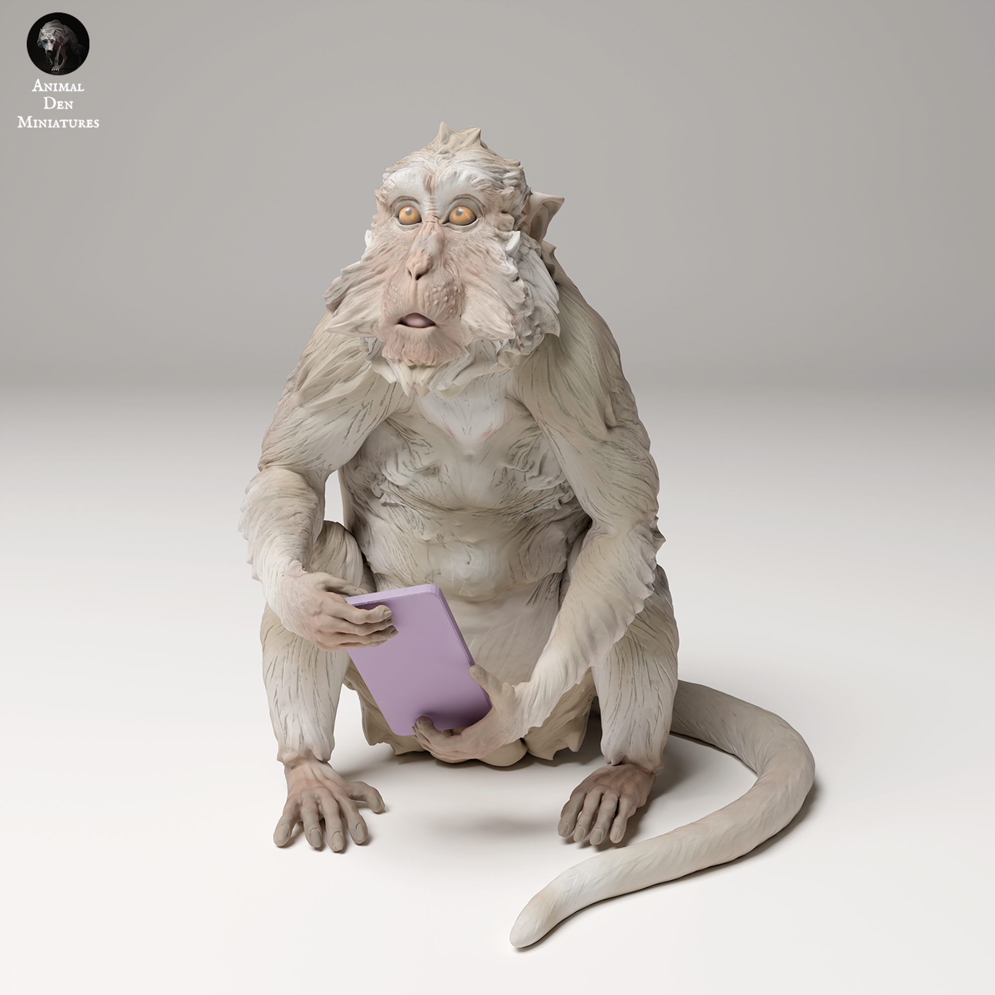 Crab-eating Macaque steals Phone