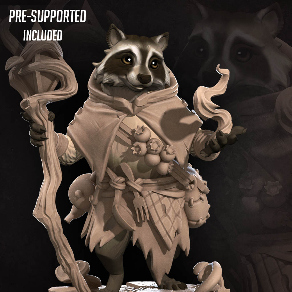 Raccoonfolk Druid
