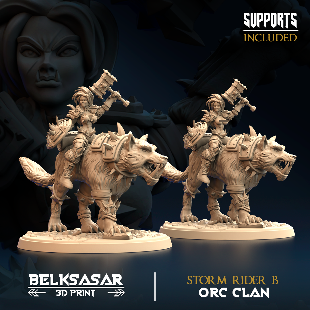Orc and Wolf - Storm Rider B All Variants