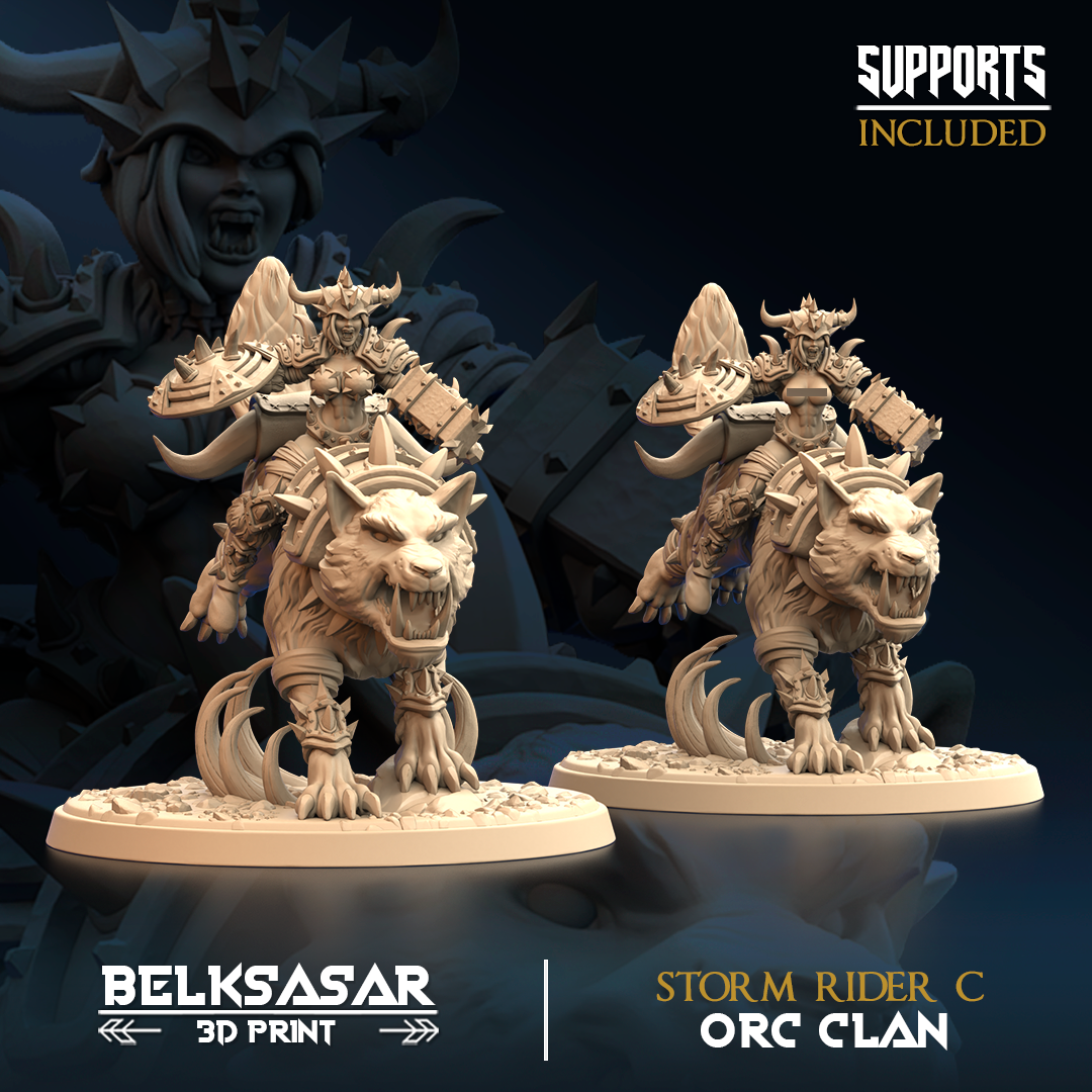 Orc and Wolf - Storm Rider C All Variants