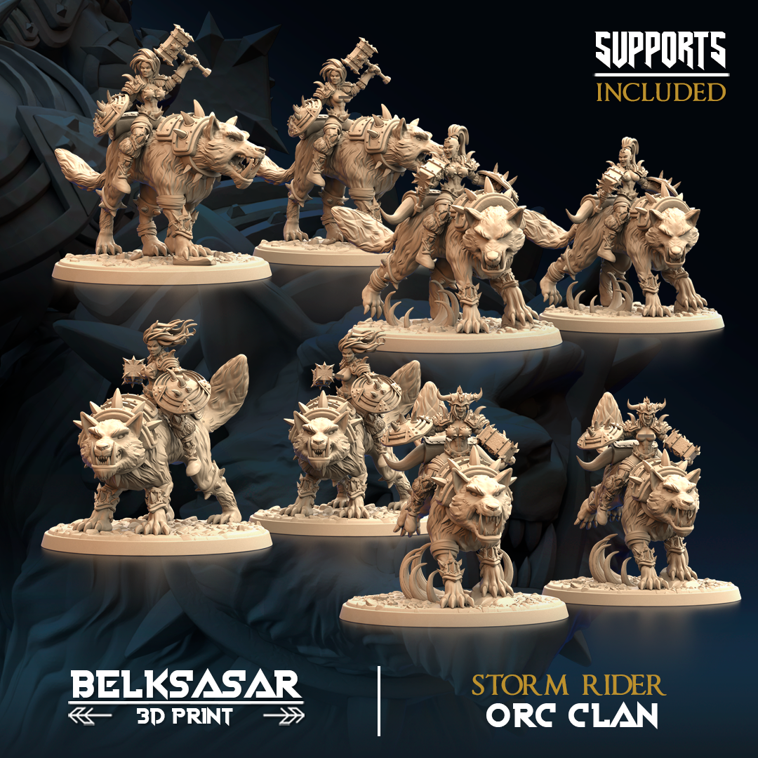 Orc and Wolf - Storm Rider All Variants Set x4
