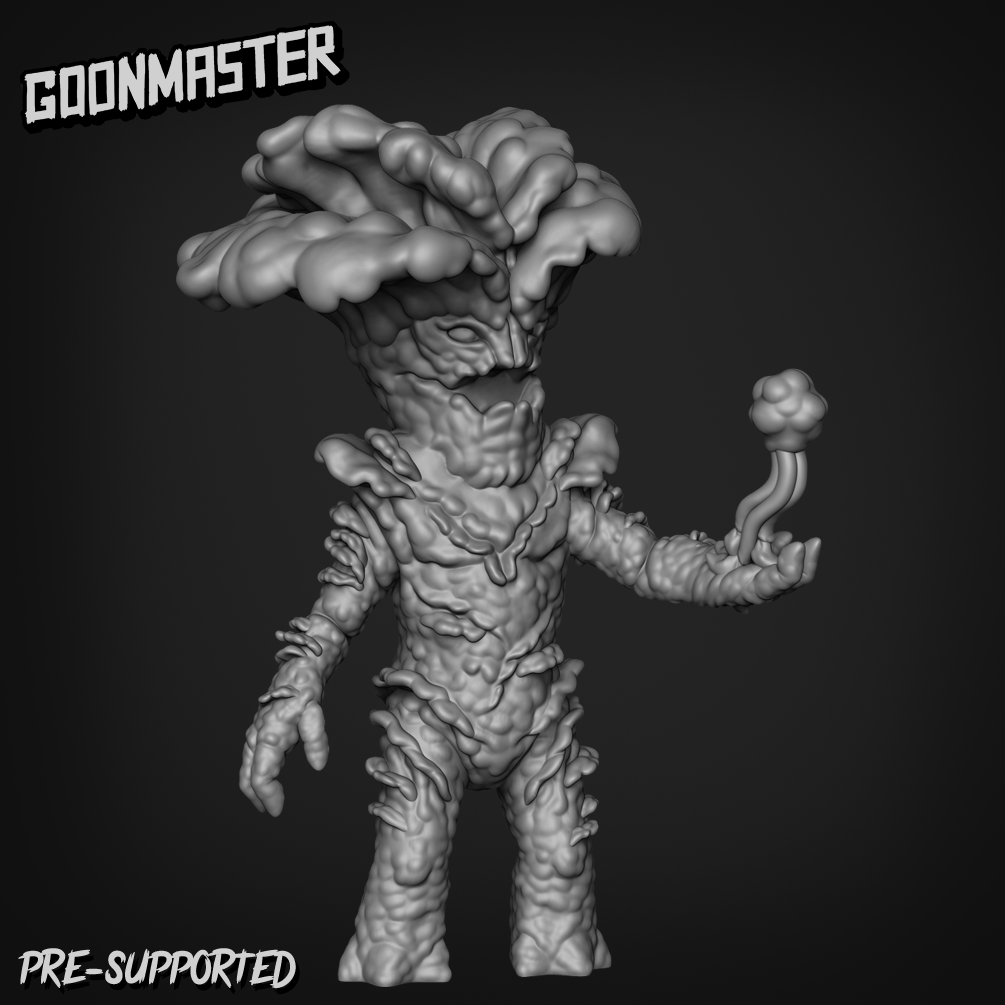 Oyster Mushroom Folk 1