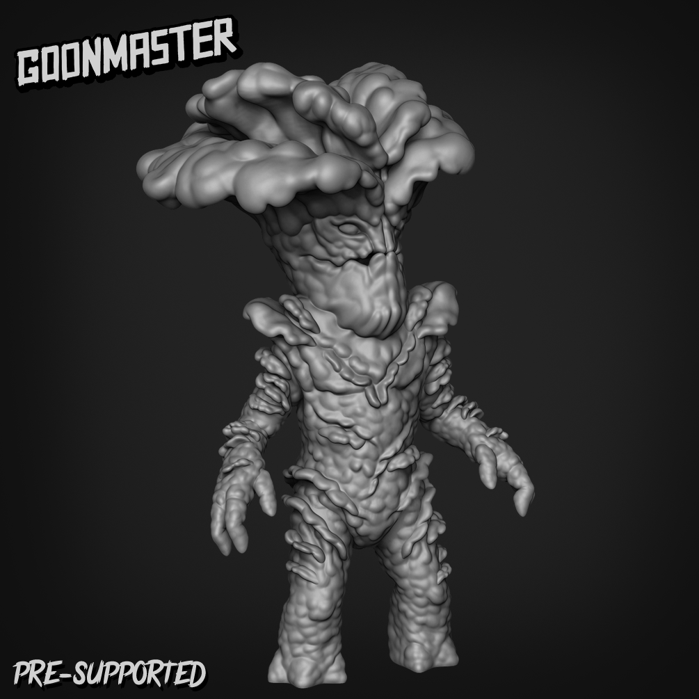 Oyster Mushroom Folk 4