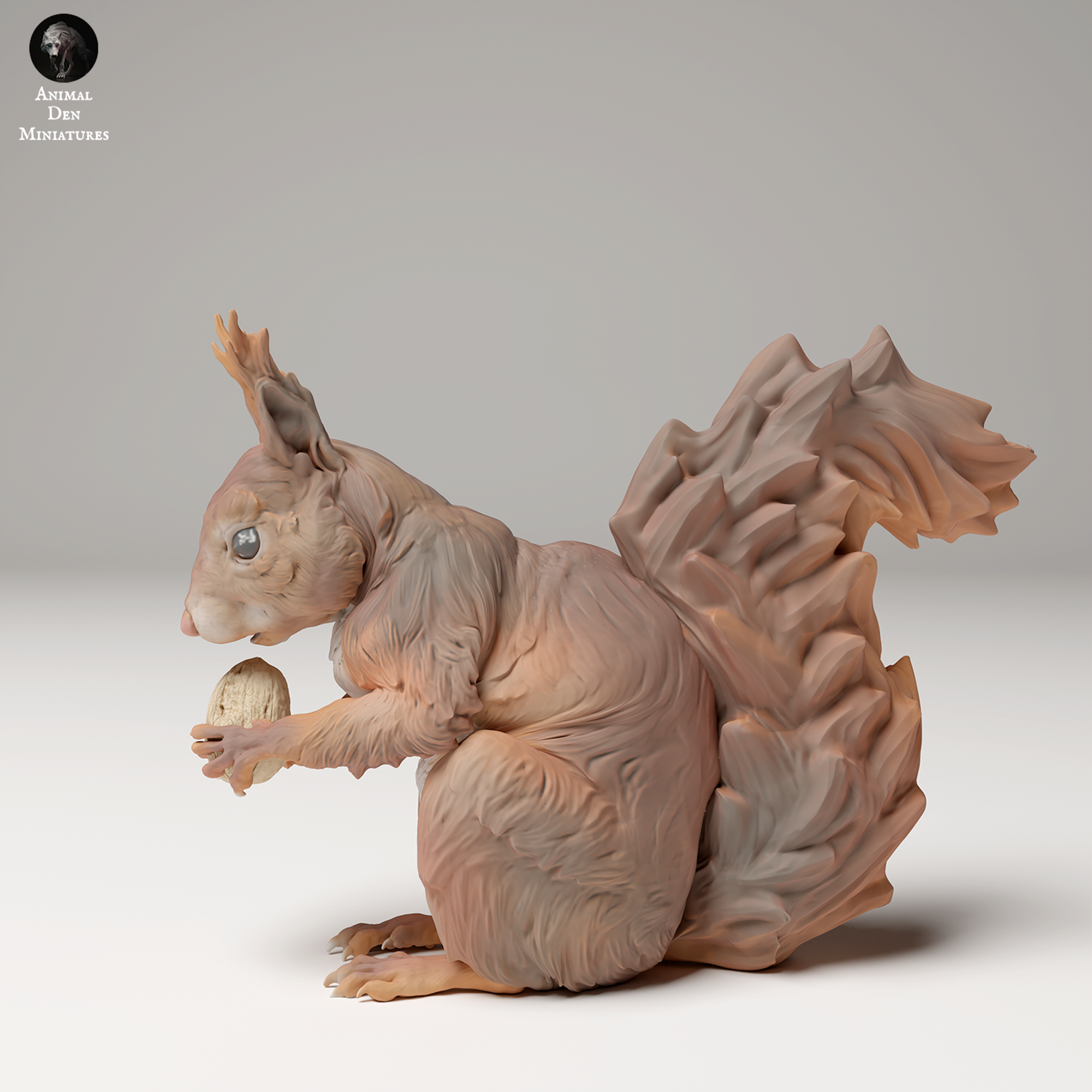 Red Squirrel Eat