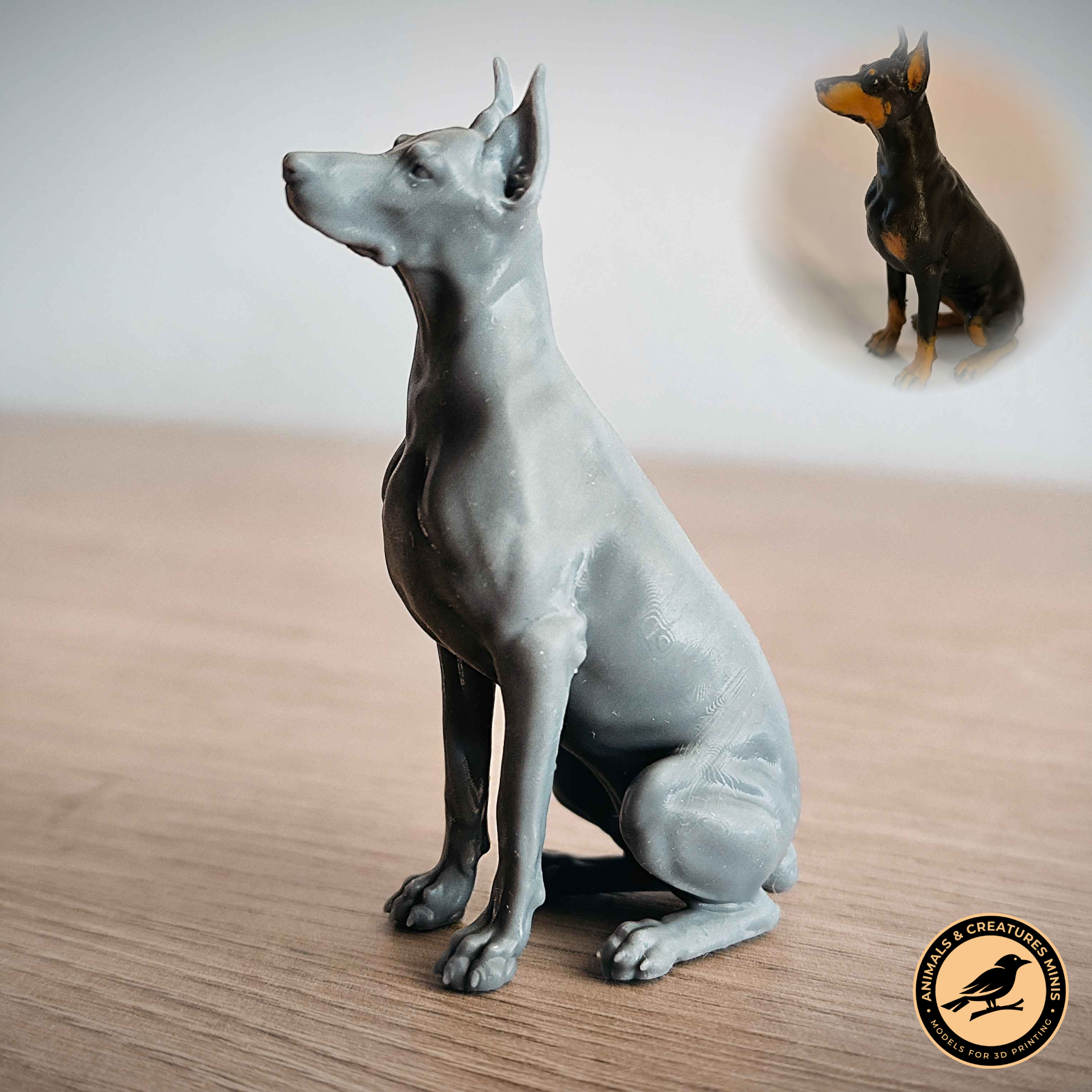 Sitting doberman