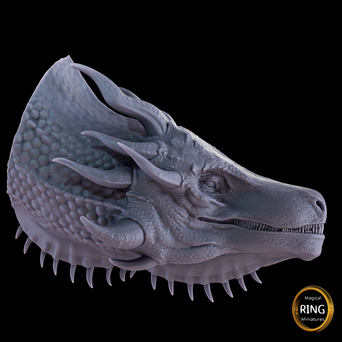 DRAGON head