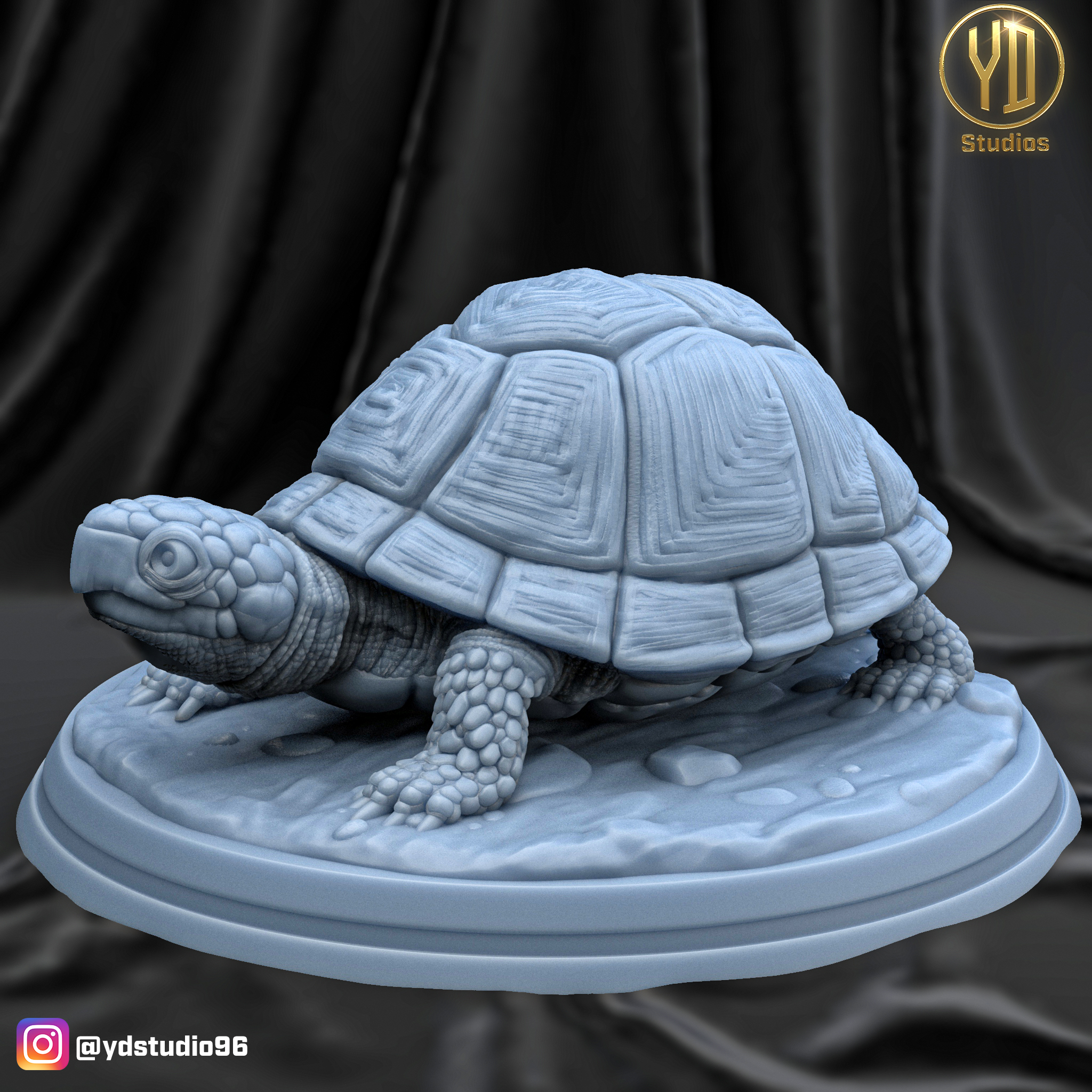 Box Turtle