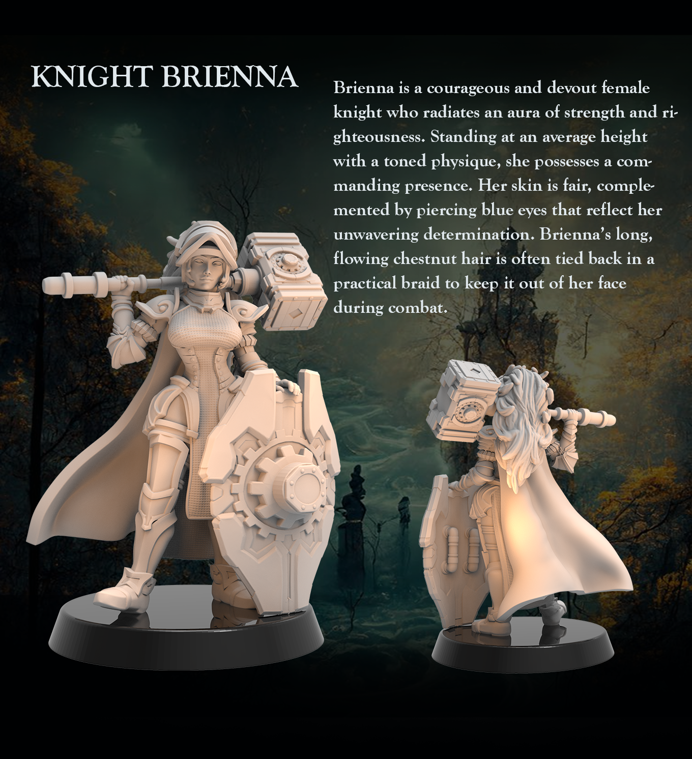 Paladin Knight Brienna - Paladin Knight Shield Knight Paladin - 32mm - Heroic scale