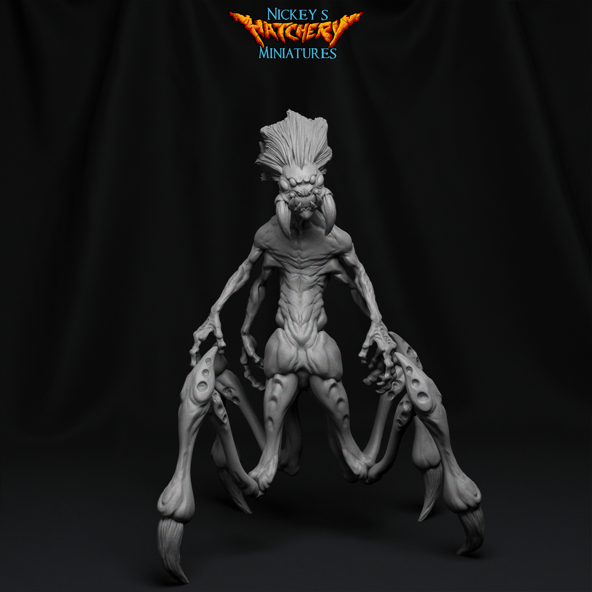Payakora 1 | Spiderkin Race