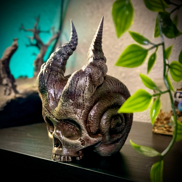 Skull of the demon snail